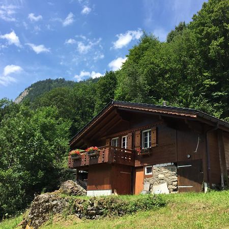 Chalet Julian Lutschental Exterior photo